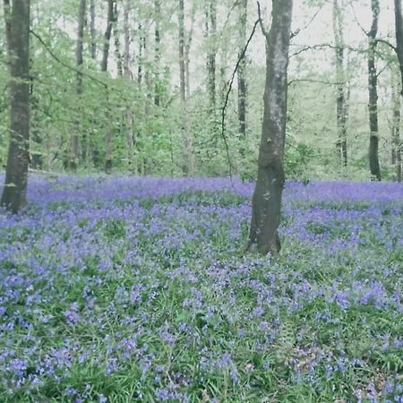 Moyola River Cottage Марафелт Екстер'єр фото