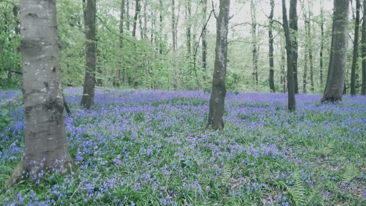 Moyola River Cottage Марафелт Екстер'єр фото